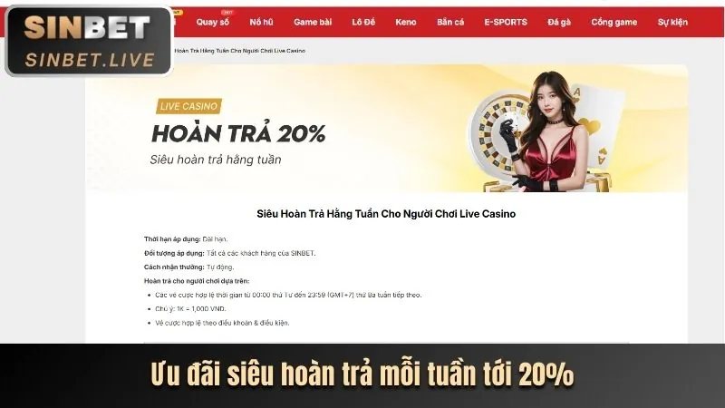 Tổng quan Blog zo88 casino